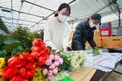 “졸업·입학 꽃 선물도 인터넷 쇼핑으로”... 태안군 ‘온라인 꽃 판매’ 인기
