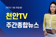 천안TV 주간종합뉴스 3월 28일(월)