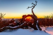 [포토] 태백산의 찬란한 겨울 풍경