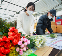 “졸업·입학 꽃 선물도 인터넷 쇼핑으로”... 태안군 ‘온라인 꽃 판매’ 인기