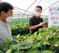 맞춤형 영농상담으로 딸기 재배농가 경쟁력 높인다